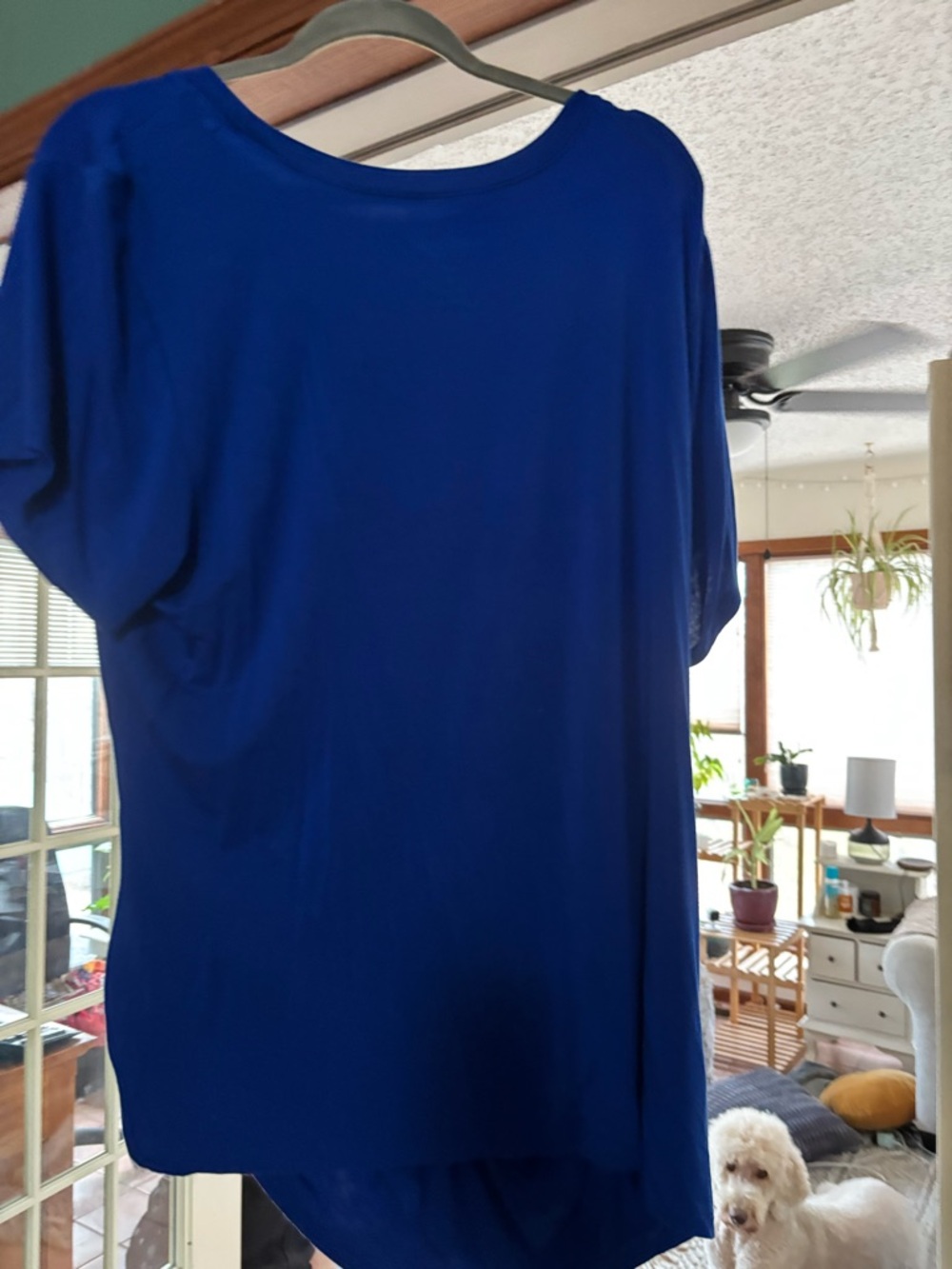 Royal Blue Short Sleeve top ruched on side
